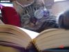 EDF Biduline + livre.JPG