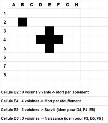 Cliquez pour voir l'image en taille relle