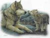 Nom du fichier : bébé_loup_avec_maman.jpeg
Poids du fichier : 20Ko
Dimensions : 480x367
Ajouté le : 5 Mai 2005 bébé_loup_avec_maman.jpeg