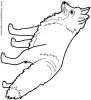 renard.jpg